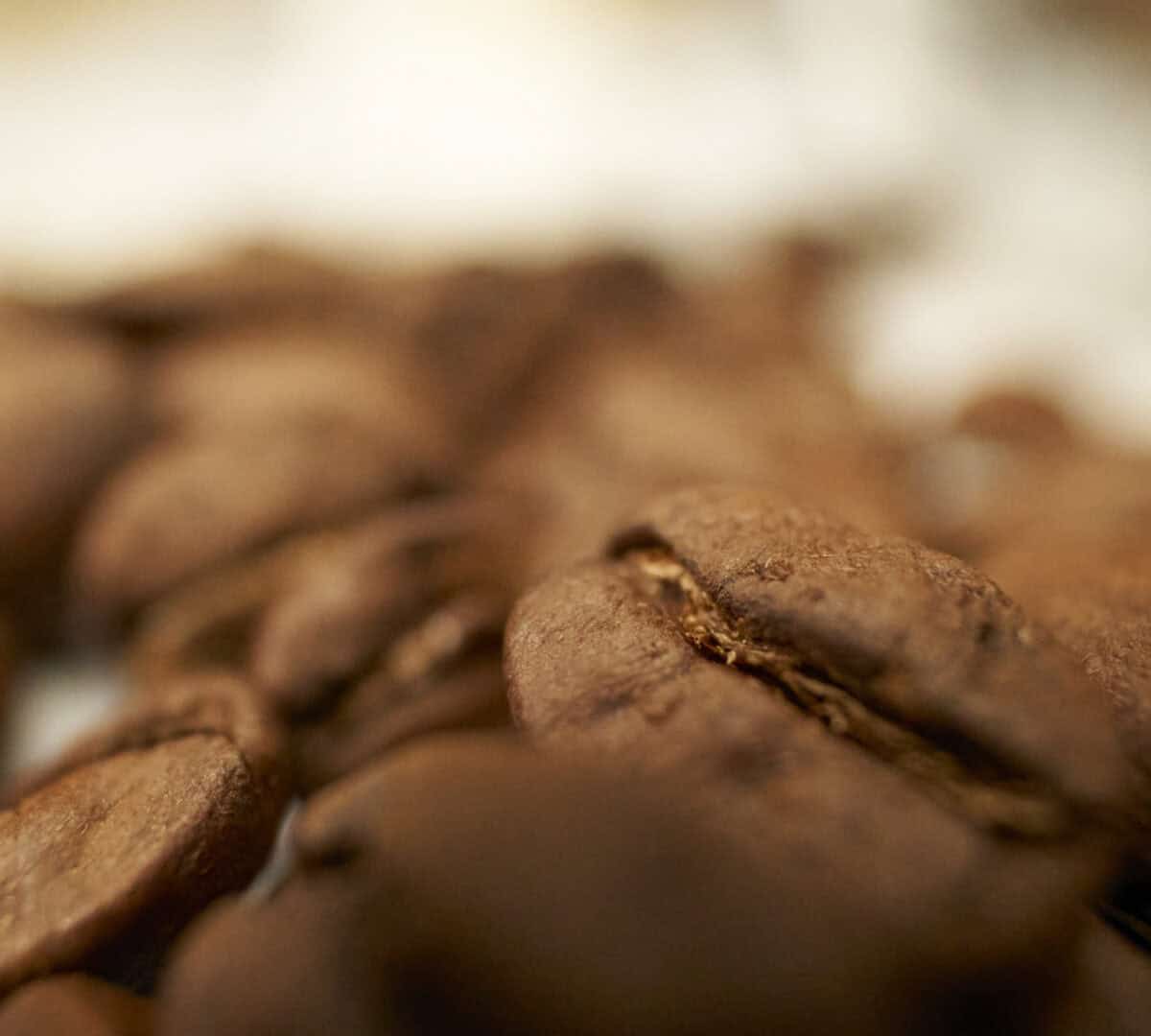 Frisch geroestete Kaffeebohnen von Coffeeness