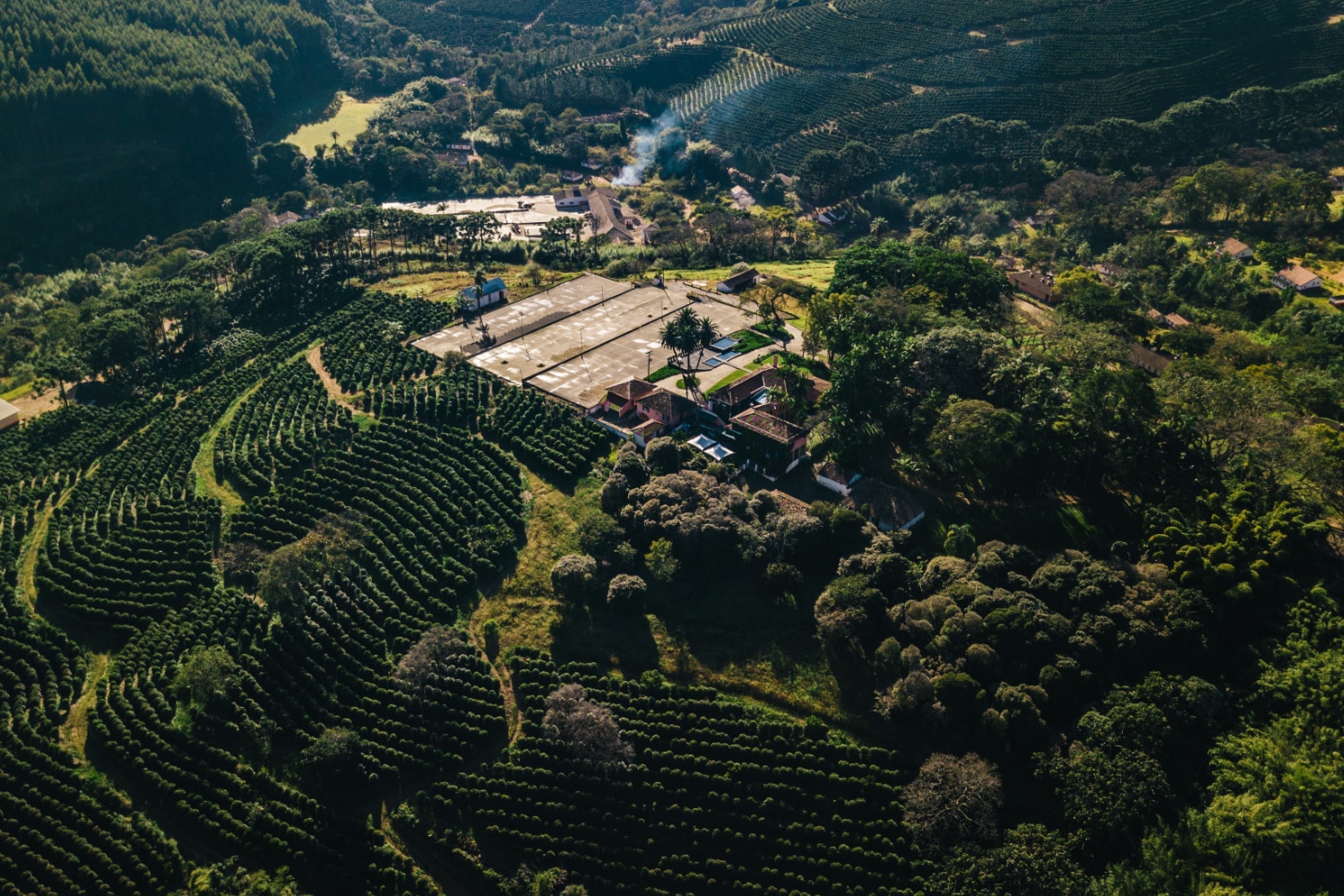 Kaffeefarm Brasilien Coffeeness Kaffee Ocafi