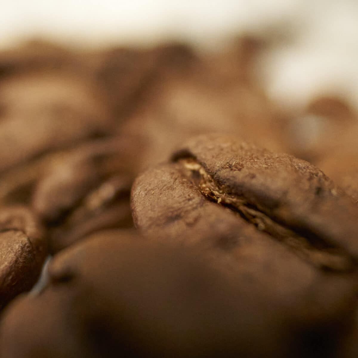 Coffeeness Kaffeebohnen Nahaufnahme
