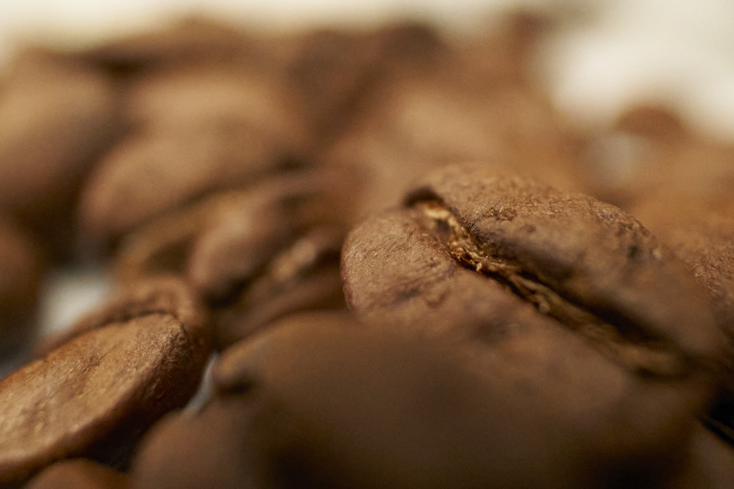 Coffeeness Kaffeebohnen Qualitaet